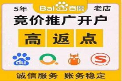 SEM代理案例：从零到一，见证品牌崛起
